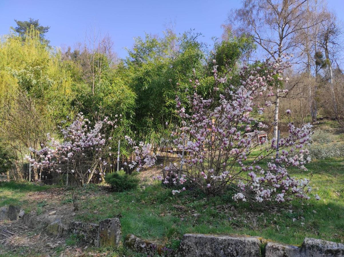 L'Oree Des Bois Courpiere المظهر الخارجي الصورة