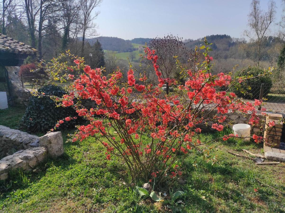 L'Oree Des Bois Courpiere المظهر الخارجي الصورة