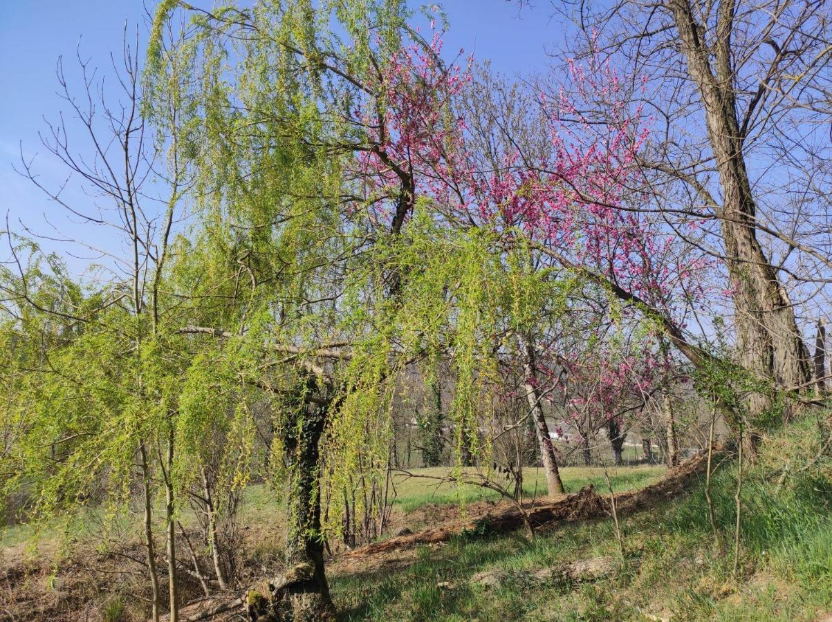 L'Oree Des Bois Courpiere المظهر الخارجي الصورة